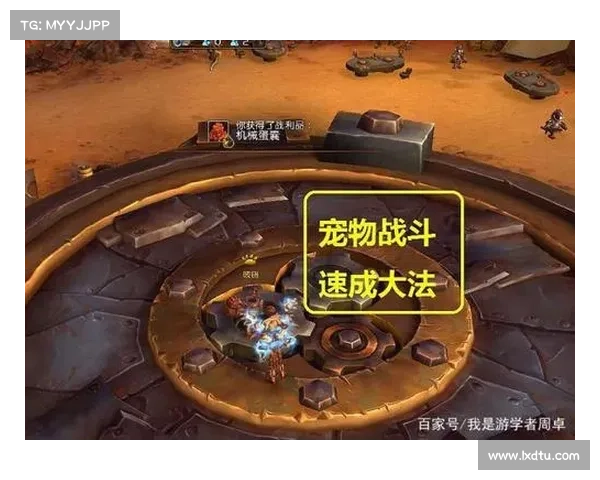 魔兽世界战宠升级秘籍:快速提升战力 魔兽世界战宠升级秘籍:快速提升战力